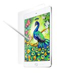 AmazingThing iPad mini 5 screen guard